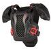 CHRÁNIČ TELA BIONIC ACTION YOUTH CHEST, ALPINESTARS, DETSKÝ (ČERNÁ/ČERVENÁ) 2026
