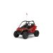 RZR 200 EFI