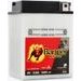 BATERIE 6V, B38-6A, 13AH, 105A, BANNER BIKE BULL 119X83X161