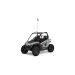 RZR 200 EFI
