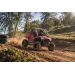 RZR 200 EFI
