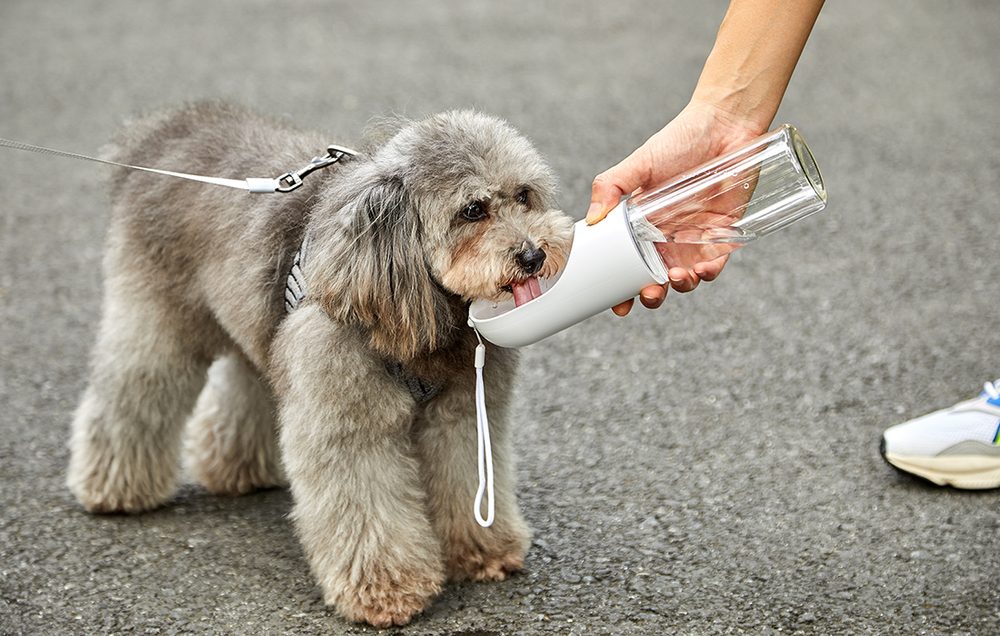 Petkit Eversweet Cestovní Láhev Pro Mazlíčky, 400 Ml