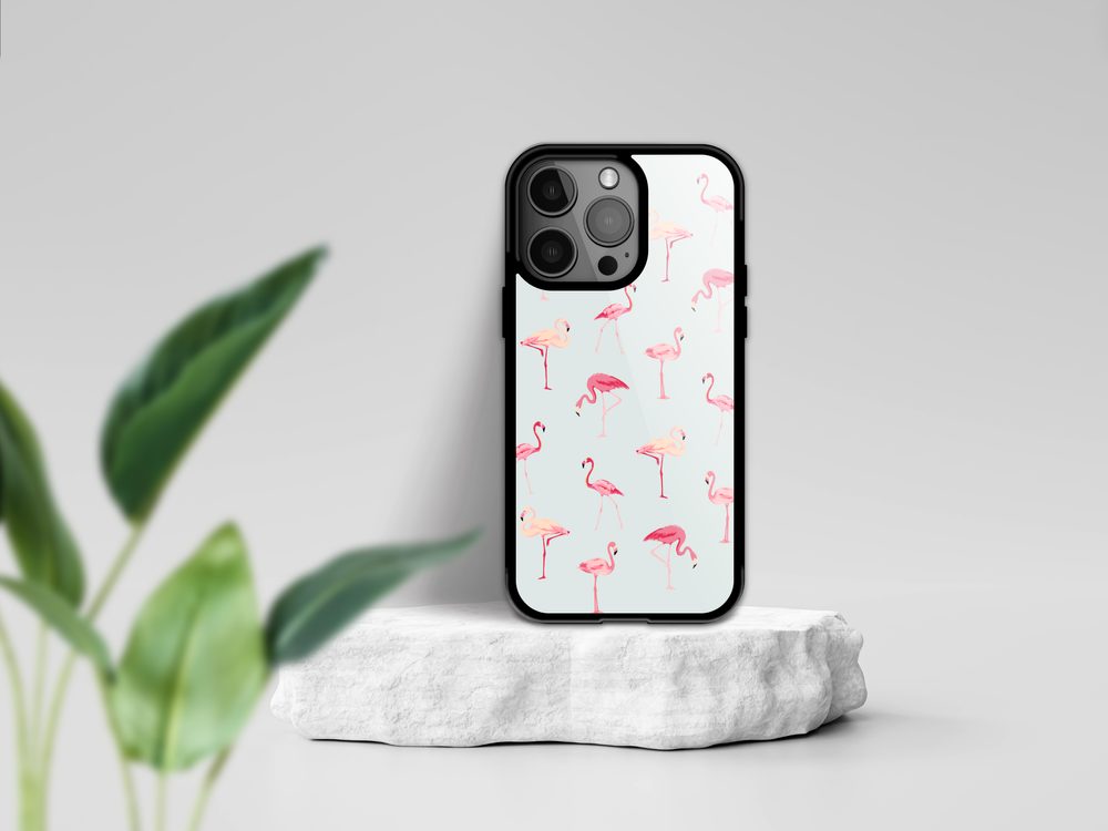 Momanio Maska, IPhone 11 Pro, Flamingosi