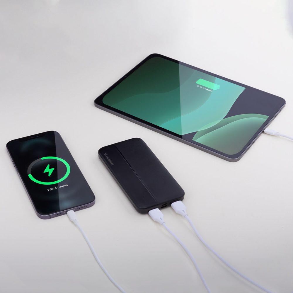 Wozinsky PowerBank Li-Po, 10000mAh, 2x USB, Crni (WPBBK1)