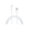 Καλώδιο USB - Lightning, 3 μ
