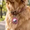 Tech-Protect Rough Anhänger für Apple AirTag 1 / 2 - Schutzhülle mit Karabiner - Rosa