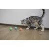 Cheerble Ice Cream minge interactivă pentru câini și pisici, albastru