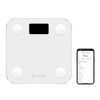 Yunmai M1501 Smart Scale