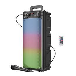 Hoco Brezžični zvočnik + žični mikrofon BS52, črn