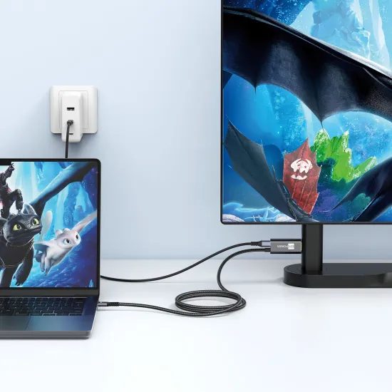 Καλώδιο ER POWER Displayport USB-C - HDMI, PD 100W, 4K/60Hz, 2m, μαύρο