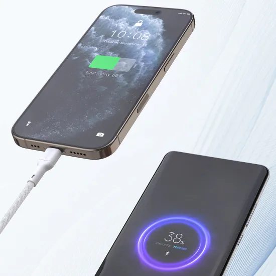 Καλώδιο Dudao L9C USB-C – USB-C, 65W, 2 m, λευκό