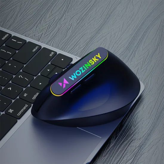 Wozinsky WMG-1164 Kabellose Ergonomische Gaming Maus für PC und Laptop - Vertikale Funkmaus mit 2.4 GHz und Bluetooth 5.0 - 3600 DPI - RGB Beleuchtung - Schwarz
