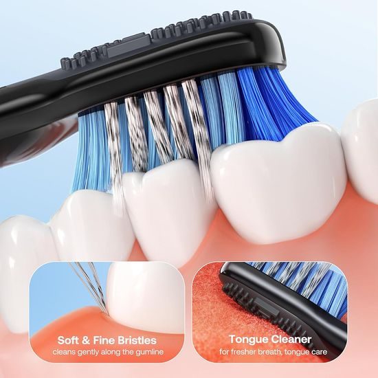 Bitvae Ηλεκτρική Οδοντόβουρτσα Daily (D2), μαύρη