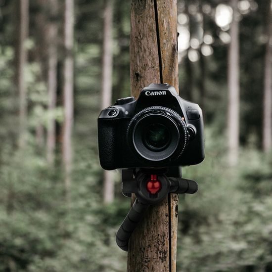 Ευέλικτο μίνι τρίποδο για φωτογραφική μηχανή 1/4", μαύρο