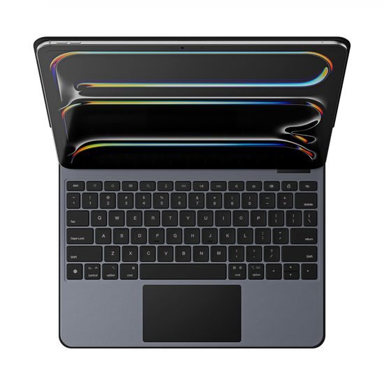 Dux Ducis Tastaturhülle, iPad Pro 13 2024, schwarz