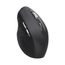 Wozinsky WMGK-1134 ergonoomiline juhtmevaba hiir – must