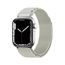 Curea Alpine cu cataramă din oțel, Apple Watch 38 / 40 / 41 mm, argintiu