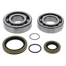 CRANKSHAFT BEARING AND SEAL KIT ALL BALLS RACING CB24-1118