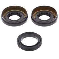 DIFFERENTIAL SEAL ONLY KIT ALL BALLS RACING DB25-2060-5