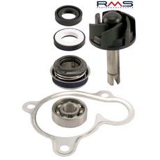 WATER PUMP SET RMS 100110270