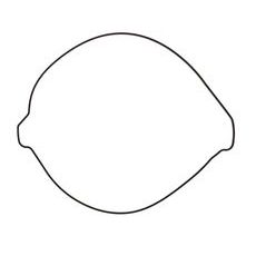 CLUTCH COVER GASKET WINDEROSA 819267 OUTER SIDE