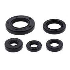 ENGINE OIL SEAL KIT WINDEROSA EOSK 822990