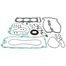COMPLETE GASKET KIT WITH OIL SEALS WINDEROSA CGKOS 711319A