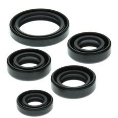 ENGINE OIL SEAL KIT WINDEROSA EOSK 822138