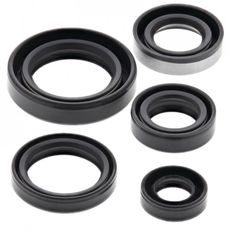 ENGINE OIL SEAL KIT WINDEROSA 822245