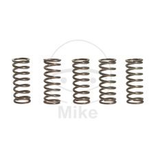 CLUTCH SPRING KIT EBC CSK066 5