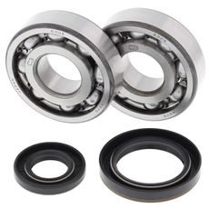 CRANKSHAFT BEARING AND SEAL KIT ALL BALLS RACING CB24-1019