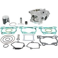 STANDARD BORE CYLINDER KIT CYLINDER WORKS CW50013K01