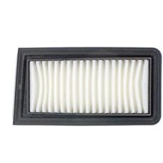 FILTER ZRAKA NYPSO 100602721