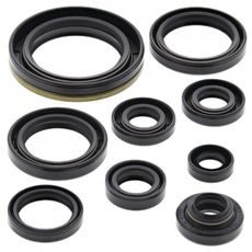 ENGINE OIL SEAL KIT WINDEROSA 822324