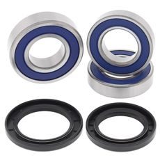 WHEEL BEARING KIT ALL BALLS RACING WB25-1712