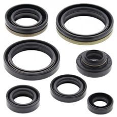 ENGINE OIL SEAL KIT WINDEROSA 822267