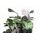 Windshield PUIG NEW. GEN TOURING 9392W transparent