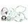 Set dihtunga za motor KOMPLETAN ATHENA P400210850265