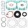 Complete Gasket Kit with Oil Seals WINDEROSA CGKOS 711147B