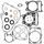 Complete Gasket Kit with Oil Seals WINDEROSA CGKOS 811860