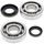 Crankshaft bearing and seal kit All Balls Racing CB24-1046