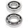 Crankshaft bearing and seal kit All Balls Racing CB24-1056