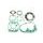 Set dihtunga za motor KOMPLETAN ATHENA P400427850004