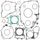 Complete Gasket Kit WINDEROSA CGK 808803