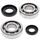 Crankshaft bearing and seal kit All Balls Racing CB24-1029