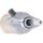 Starter motor ARROWHEAD SCH0029 410-58057