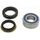 Wheel Bearing Kit All Balls Racing WB25-1740