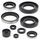 Engine Oil Seal Kit WINDEROSA 822286