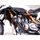 Engine guards RDMOTO CF110KDPH01 matt black