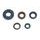 Set dihtunga za ulje za motor ATHENA P400220400262
